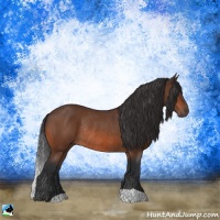Horse Color:Brown Rabicano 