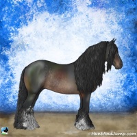 Horse Color:Brown Sabino Rabicano