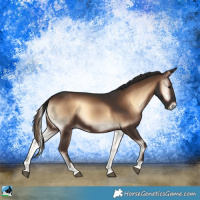 Horse Color:Liver Red Onyx Rabicano