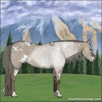 Horse Color:White Spotted Liver Red Dun Roan Mushroom 