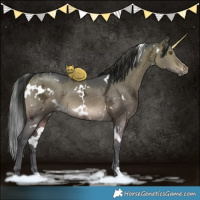 Horse Color:White Spotted Brown Ice Dun 