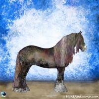 Horse Color:Nacre Chocolate Brown Ice Onyx Sabino 