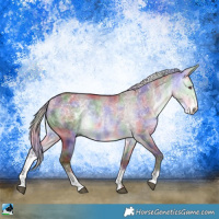 Horse Color:Nacre Chocolate Silver Buckskin Chinchilla Dun Sabino Rabicano