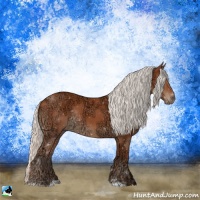 Horse Color:Silver Bay Ice Sabino Rabicano