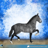 Horse Color:Brown Chinchilla Ice Rabicano
