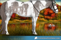 Horse Color:Platinum Liver Chestnut Sabino Tobiano