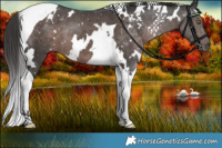 Horse Color:Platinum White Spotted Liver Chestnut Tobiano 