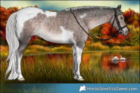 Horse Color:Platinum Chocolate Palomino Tobiano 