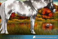 Horse Color:Platinum White Spotted Liver Red Onyx Tobiano Rabicano 