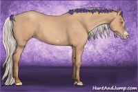 Horse Color:Silver Amber Champagne Frame 