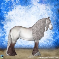 Horse Color:Chocolate Silver Brown Chinchilla Rabicano 