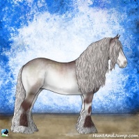 Horse Color:Chocolate Silver Brown Chinchilla Onyx Rabicano 