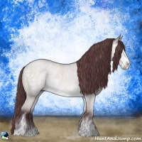 Horse Color:Chocolate Bay Chinchilla Sabino Rabicano
