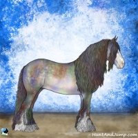 Horse Color:Nacre Brown Chinchilla Sabino Rabicano