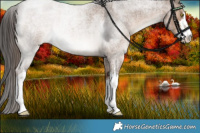 Horse Color:White Spotted Liver Red Dun Roan Brindle