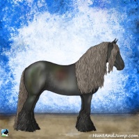 Horse Color:Liver Chestnut Mushroom Rabicano 