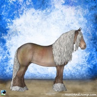 Horse Color:Liver Chestnut Mushroom Rabicano 