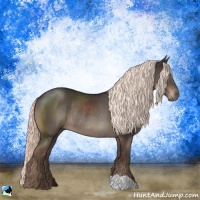 Horse Color:Liver Chestnut Mushroom Rabicano