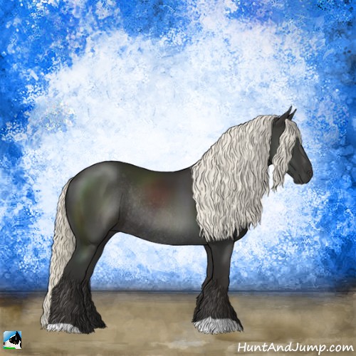 Horse Color:Liver Chestnut Mushroom Rabicano 