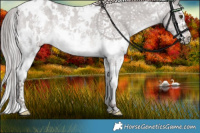 Horse Color:Platinum White Spotted Liver Red Dun Sabino 