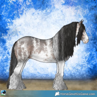Horse Color:White Spotted Brown Rabicano 