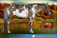 Horse Color:White Spotted Liver Red Dun Brindle 