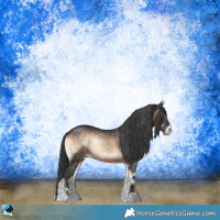 Horse Color:Brown Onyx Mushroom Sabino Rabicano 