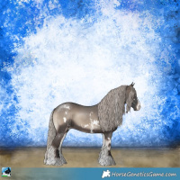 Horse Color:White Spotted Silver Blue Onyx Sabino Rabicano 