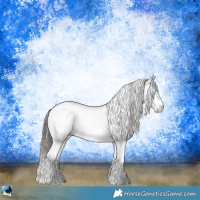 Horse Color:Classic Champagne Onyx Sabino Rabicano 