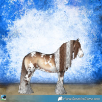 Horse Color:White Spotted Liver Red Onyx Sabino Rabicano 