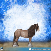 Horse Color:Classic Champagne Sabino Rabicano 
