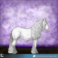 Horse Color:Liver Chestnut Sabino Appaloosa 