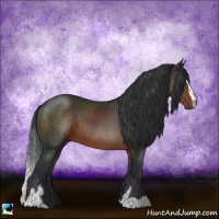 Horse Color:Brown Mushroom Sabino 
