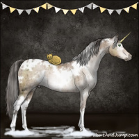 Horse Color:Gray White Spotted Brown Ice Pearl Dun Mushroom Rabicano Brindle 