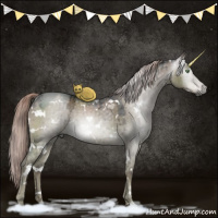 Horse Color:Gray White Spotted Chocolate Palomino Ice Dun Brindle