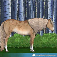 Horse Color:Chocolate Palomino Dun Brindle