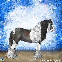 Horse Color:Black Sabino Splash Tobiano Rabicano
