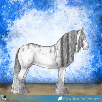 Horse Color:White Spotted Brown Onyx Splash