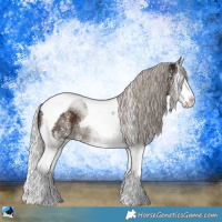 Horse Color:White Spotted Silver Brown Ice Splash Tobiano Rabicano 