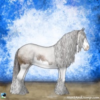 Horse Color:Bay Ice Roan Sabino Splash Rabicano 