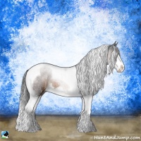 Horse Color:Brown Sabino Splash Tobiano Rabicano