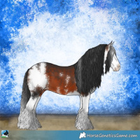 Horse Color:Brown Sabino Splash 
