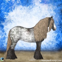 Horse Color:Liver Chestnut Ice Rabicano