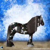Horse Color:White Spotted Midnight Liver Chestnut Ice Rabicano 