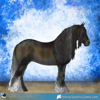 Horse Color:Midnight Buckskin Ice Onyx Sabino Tobiano 