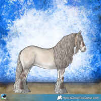 Horse Color:Silver Grullo Ice Onyx