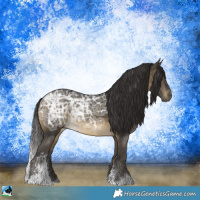 Horse Color:Buckskin Ice Sabino 