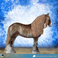 Horse Color:Red Onyx Ice Sabino Rabicano 