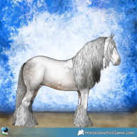 Horse Color:Gray Buckskin Tobiano 
