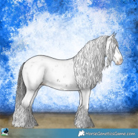 Horse Color:Grullo Mushroom Sabino Splash Rabicano Brindle 